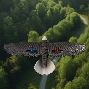 เครื่องบินบังคับวิทยุรุ่น Eagle Bird ผลิตภัณฑ์เครื่องบิน RC - Product Image 3
