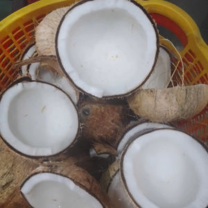 Fabricant vietnamien de viande de noix de coco congelée IQF pour les usines alimentaires Fabricants de crème glacée Producteurs de smoothies et de desserts du monde entier - Product Image 1