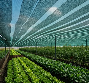 ตาข่ายพลาสติกกันแดด Agro Shade สำหรับสวนและฟาร์ม ผลิตในอินเดีย - Product Image 4