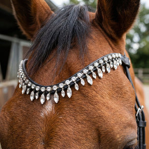 Accessoire de bride élégant en cuir noir de qualité supérieure pour l'équitation, avec bandeau incurvé et cristaux transparents, couleur et taille personnalisables - Product Image 1