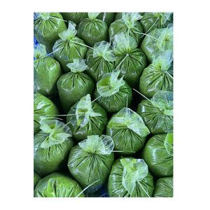 USINE DE FEUILLES DE MANICOVA TERMINÉES CONGELÉES VIETNAM FEUILLES DE TAPIOCA DE HAUTE QUALITÉ À BON PRIX - Product Image 6