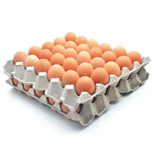 Huevos de mesa frescos de alta calidad y huevos no fértiles precio barato con los mejores productos de embalaje personalizados - Product Image 5