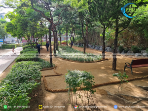 Cuerda de Fibra de Coco de Alta Resistencia para Uso en Exteriores y para Atar de Forma Segura en Agricultura, Paisajismo y Construcción - Product Image 4