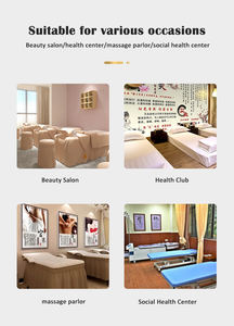 Médecine traditionnelle chinoise préservation de la santé DDS masseur facial dispositif de dragage méridien complet du corps Base acide équilibre visage - Product Image 3