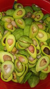 บริสุทธิ์อะโวคาโดผงอะโวคาโดน้ำผลไม้ผง Akina - Product Image 4