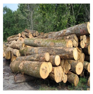 Troncos de fresno blanco europeo al por mayor, origen alemán, para industrias de pisos y fabricación de gabinetes de alta gama. Suministro global disponible. - Product Image 4