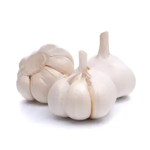 Premium Quality Natural Fresh White Garlic for Sale