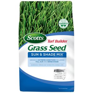 Scotts Turf Builder 15 libbre - Miscela di semi d'erba e fibra di cocco morbida con protezione solare, soluzione durevole per prati, attrezzo da giardino rivestito in plastica - Product Image 1