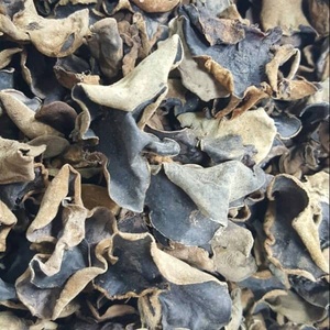 Venta caliente seta negra seca | Hongo seco de Vietnam a buen precio - Product Image 5