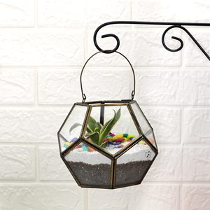 Venta caliente Borde de latón colgante terrario forma geométrica acabado negro vidrio transparente para decoraciones de jardín decoración de galería de hogar - Product Image 5