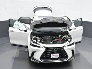 L_exus NX 350 2024 d'occasion en excellent état - Product Image 6