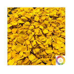 Chips de Jackfruit crujientes dorados, crujiente sabor dulce, bocadillo vegano perfecto, disfrute del sabor natural de Jackfruit con cada bocado - Product Image 4