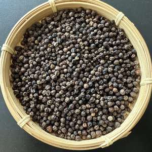 Poivre noir de qualité supérieure nettoyé 500-600G/L nettoyé | Grains entiers séchés | En vrac à l'exportation et prix compétitif pour les importateurs (Joice) - Product Image 6
