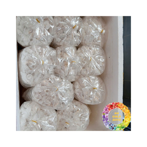 Polvo de arrurruz natural de grado alimenticio, el almidón de arrurruz proporciona un suministro a granel de textura suave para aplicaciones culinarias - Product Image 1