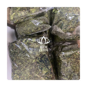 Caliente de alta calidad 100% hojas de papaya secas naturales de semillas de papaya de Loto Azul para hacer té Blue Lotus Ms Amelia + 84 855014447 - Product Image 1