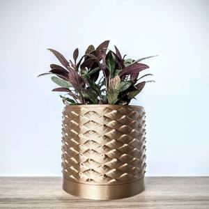 Pot et jardinières de fleurs de Texture de concepteur élégant en métal résistant enduit de poudre de couleur noire pour la décoration de maison et de jardin - Product Image 6