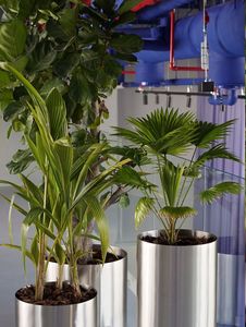 Compre macetas grandes de cerámica modernas para interiores en cualquier jardín o balcón a precios económicos con envío gratuito a EE. UU. y Europa. - Product Image 6