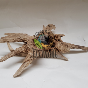 Transformez votre aquarium avec un aquascaping en bois flotté original de qualité supérieure au meilleur prix d'Indonésie - Product Image 4