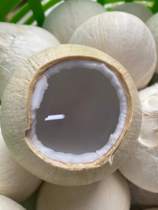 Noix de coco fraîche de qualité export, fruit tropical naturel et sucré, approvisionnement en gros - Product Image 6