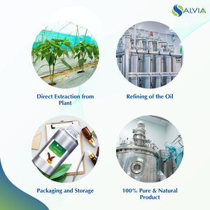 Aceite esencial de semilla de Chile puro y natural 100%, venta al por mayor, embalaje personalizado a granel, suministro OEM para el cuidado de la salud - Product Image 4