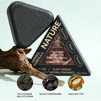 Collection de barres de shampoing solides à base de plantes Usnea Grass Cacumen Biotae Triangle, soins capillaires naturels solides, anti-chute de cheveux et soins du cuir chevelu, OEM