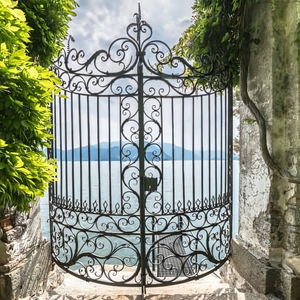 ประตูเหล็กออกแบบได้ตามต้องการเหล็กดัดสำหรับงานหนักพร้อมรายละเอียดปลอมแปลงด้วยมือสำหรับบ้านสมัยใหม่คลาสสิกหรือวินเทจ - Product Image 6
