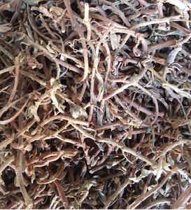 Whole Dried Brahmi <b>Plant</b> | Bacopa Monnieri | Natural Memory Support Herb | Export Quality - Product Image 5