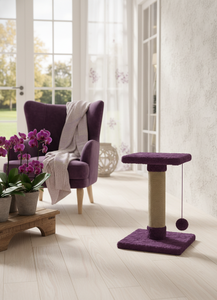 Amistar ฟักทองคุณภาพสูงดีเกาแมวสำหรับแมวทุกสายพันธุ์และขนาด - Product Image 4