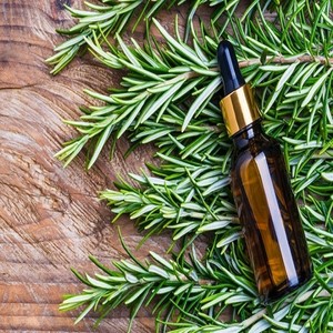 Proveedores de aceite de Romero - Product Image 6