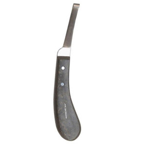 Couteau à sabots professionnel en acier inoxydable réutilisable à lame large, outil de précision robuste pour la coupe des sabots, conçu pour les farriers - Product Image 5
