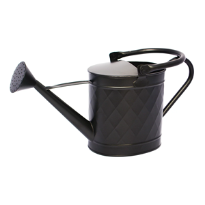 Regadera de metal de diseño moderno Regadera de forma redonda para plantas de interior y exterior Planta de metal al costo más bajo - Product Image 6