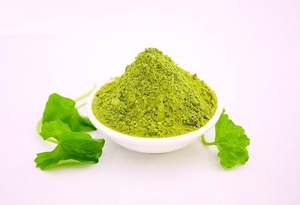 SUPERVENTAS GOTU KOLA POLVO A GRANEL SUMINISTRO AL POR MAYOR PRODUCTO DE EXPORTACIÓN DE HERBAS NATURALES DE CALIDAD PREMIUM PROMOCIÓN OFERTA CALIENTE - Product Image 5