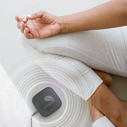 BIOMEDIS BIOLAND WHITE. Un générateur du champ électromagnétique naturel de la Terre. - Product Image 4