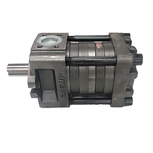 QT62-80-F-A QT62-100-F-A QT62-125-F-A QT63-80-F-A QT63-100-F Servo de pompe à engrenages à huile hydraulique pour machines de moulage par injection - Product Image 1