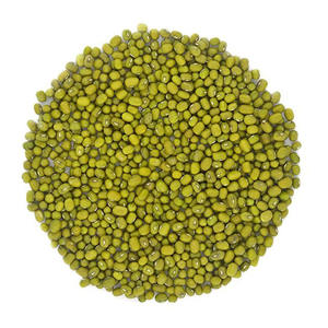 Fournisseur en gros de haricots mungo verts pour importateurs, exportateurs et distributeurs alimentaires internationaux - Product Image 1