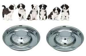 ชามอาหารลูกสุนัขทำจากสแตนเลสคุณภาพดี - Product Image 5