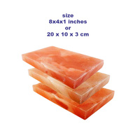 Tuiles de briques de sel de l'Himalaya pour la cuisson 12x8x2 8x4x1 8x4x2 tailles Design traditionnel pour la construction de salle de construction de mur de sel de SPA