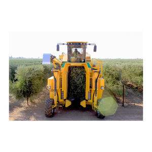 Cosechadora de aceitunas bastante usada, lista para mercados agrícolas de grado de exportación a bajo costo - Product Image 4