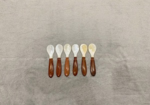 Cuillère à caviar faite à la main en nacre mélangée avec du bois naturel Taille 12cm - Product Image 3