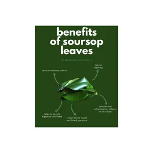 Aumenta o seu bem-estar com folhas de guanabana: orgânico, seco e embalado com bondade