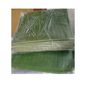 Feuilles de bananier fraîches-Feuille de bananier congelée-Feuille de Dong pour emballer Banh Chung et décorer les aliments - Product Image 4