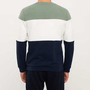 Venta al por mayor poliéster/algodón hombres cuello redondo sudaderas bloque raya Color 3D bordado peso pesado ecológico Casual invierno - Product Image 5