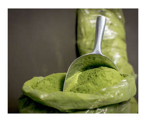 Polvo de extracto de hoja de Moringa en polvo orgánico puro - Product Image 3