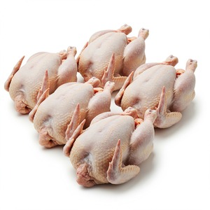 Proveedor de confianza que ofrece pollo entero congelado con calidad constante empaquetado en bolsas de plástico y cartones para envío internacional - Product Image 2