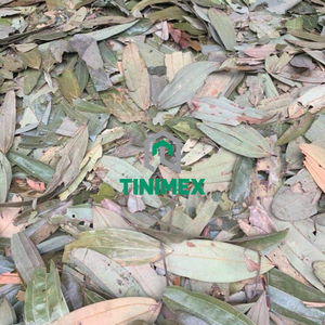 Disponible Hoja Canela Cassia/Canela/Zimt(WA:+ 84362512699) - Product Image 2