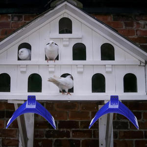 Mobilier d'extérieur pour animaux de compagnie Pigeon Perche Perroquet Myna Inséparable Support de repos pour oiseaux Support de course texturé Cage essentielle Transporteur de course - Product Image 4