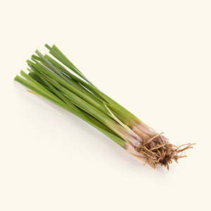 Huile parfumée au vétiver - Product Image 1