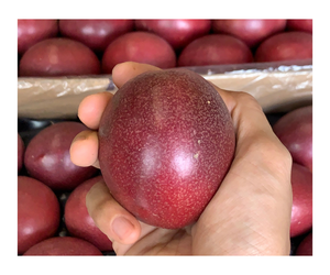 Fruta de la Pasión congelada Sabor fresco IQF Mezcla congelada OEM Embalaje de estilo a granel dulce Embalaje Aire orgánico - Product Image 1