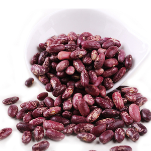 Frijoles de riñón rojos naturales de alta calidad Frijoles negros frescos de forma larga a granel Los mejores precios del mercado Empaquetado en bolsas al por mayor disponible - Product Image 6