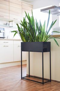 Support de support de plante à finition enduite de poudre intérieure extérieure Offres Spéciales pour salon Patio jardin balcon Pots de fleurs et jardinières - Product Image 5